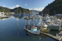 Edit Picton