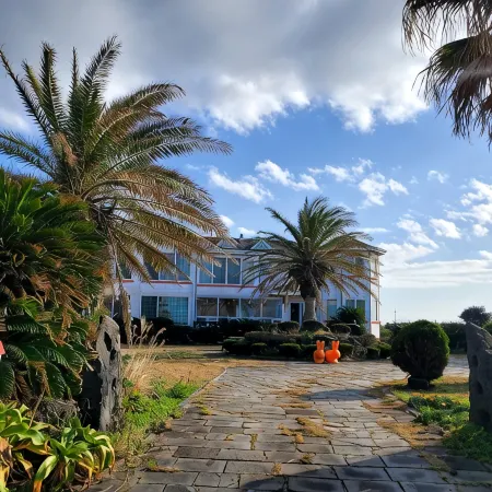 Jeju Ddoolle Pension Отели рядом с достопримечательностью «Парк бонсай «Энергичный Сад»»