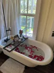 Charming 2-bedroom cottage on the River with 5 acres - Wifi