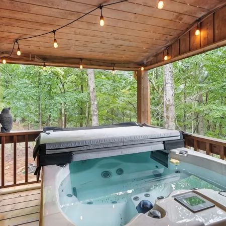 Rest & Relaxation in Remote Cabin on 10 Acres