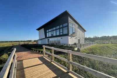 Blackbush Beach Resort Hotels in 