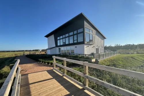 Blackbush Beach Resort