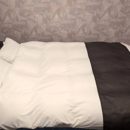 SELF PLUS HOTEL CHOSHI โรงแรมในโชชิ
