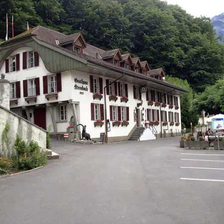 Historic Hotel Steinbock