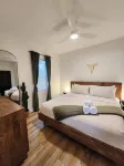 Cozy 1BR Tiny Home near Downtown & NB Rivers