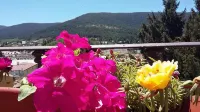 Hostal la Ciguena - Pensions