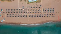Calypso Beach - Ocean View