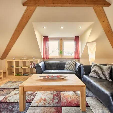Large (100sqm) modern apartment with roof terrace
