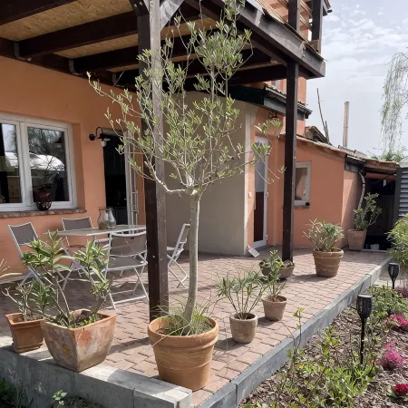 Ferienwohnung im Spargeldorf Schäpe mit Großer Südwest Terrasse