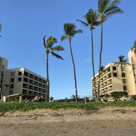 Spectacular Summer Specials - Beachfront Condo with Amazing Oceanfront Views.