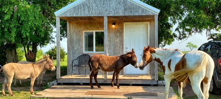 Little Cabin at the DonkeyRanch Hotels in Comanche County