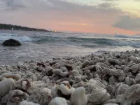 Tales of Pacific : F2 Central et Spacieux, Piscine, Salle de Sport et vue mer Hotels in Faaa