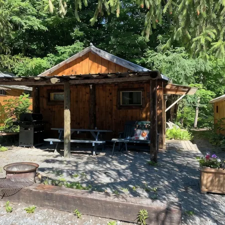 Spotted Sandpiper - Cabin #3