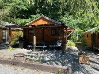 Spotted Sandpiper - Cabin #3 - 2-Star
