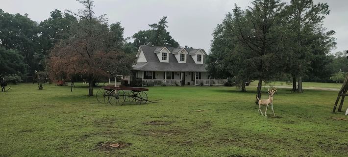 Rustic getaway on 3 acres - Only minutes from TEXS A&M University. Hôtels à&nbsp;: Bryan