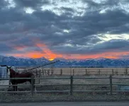 Little Cabin. Big Skies. Serious Comfort and Relaxation. Legendary Views.