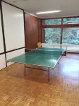 "Black Forest always works" Large apartment with large south-facing balcony, WiFi and Magenta TV - Wifi