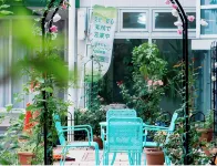 Kinugawa Onsen Hotel