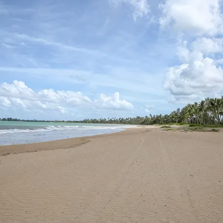 Waking up in a tropical reserve with the sound of the sea caressing your soul.