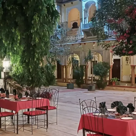 Bassi Fort Palace
