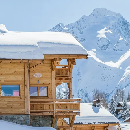 Alpaga 2, Magnificent Chalet 50 m from the Slopes