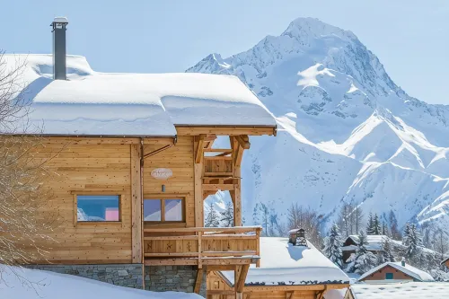Alpaga 2, Magnificent Chalet 50 m from the Slopes