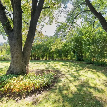 Remodeled 3 bedroom home in Monona. Close to Downtown!