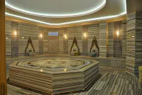 إيليبس رويال هوتل آند سبا - غرفة مطلة على الجبل