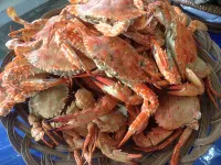 โรงแรม SF กันตินา - พร้อมอาหารเช้า