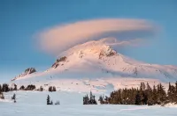 Cozy Cottage Close to Mount Hood