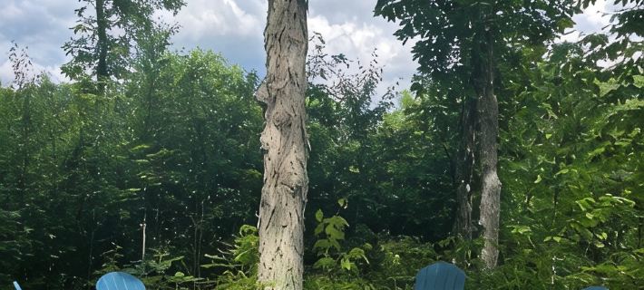 Sugar Mountain Hideaway:  2-2 home on Private Secluded Road w breathtaking view Hotels in Avery County