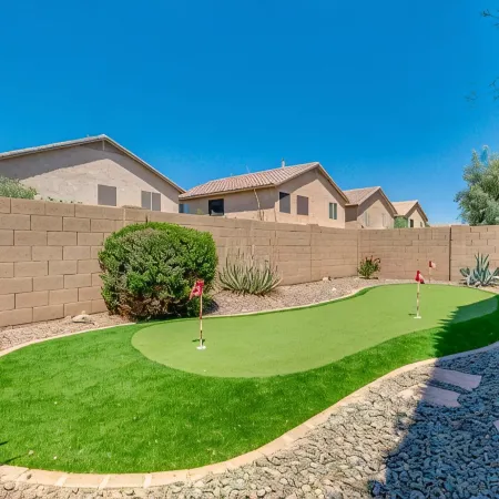 Palmen Maricopa