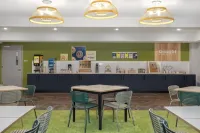Spark by Hilton Ames