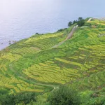 Hosenkaku - Homestays