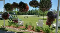 Sunset Motel at Armand's Gardens - 2-Star