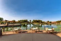Palmen Maricopa - Homestays
