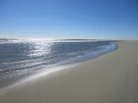 Villa; 5 Minute Walk to Palmetto Dunes Beach with a Great Golf Course View!! - Villas