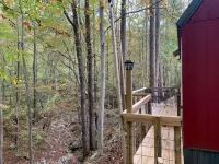 Raccoon Lodge at Coops Creek Cabins - 3-Star
