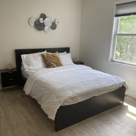 One of the kind fully loaded house located walking distance from cozy lake