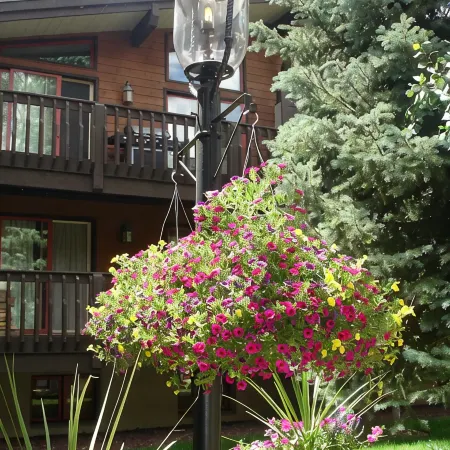 Aug 4 & 5 and 11 & 12 Now Only  189/nt Plus Vrbo Fees n Taxes Close to Ford Park