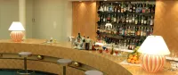 阿爾巴尼酒店 - 酒吧