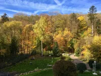 Forest view in the Lerbachtal / Harz - Homestays