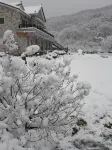 Cheonan Villa Goal Pension - مبيت وإفطار