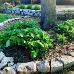 Cozy N Clean Brick Bungalow Dundee-  Best Porch Swing in the metro! - Homestays