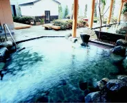 Matsumoto Wellton Hotel - Bjergudsigt