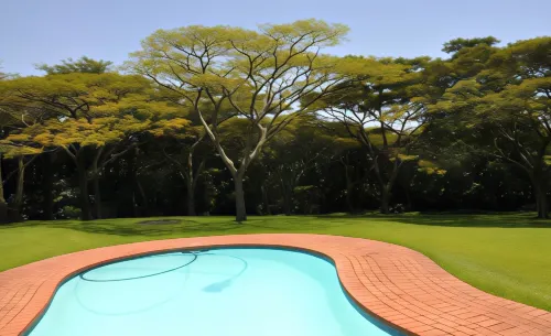 Birds of Paradise B&B Hotel di Eshowe