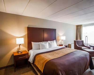 Quality Inn & Suites Orland Park - Chicago Hotels in Orland Hills