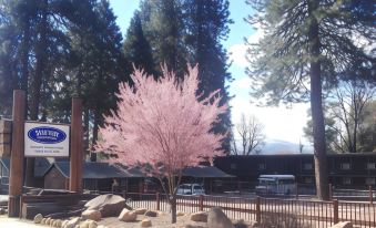 a pink tree stands in front of a building with trees and rocks , surrounded by mountains at Shasta Inn