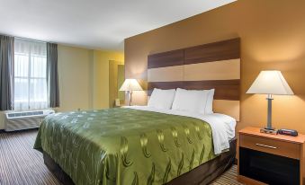 Quality Inn Loganville US Highway 78