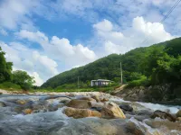 Danyang Forest 67